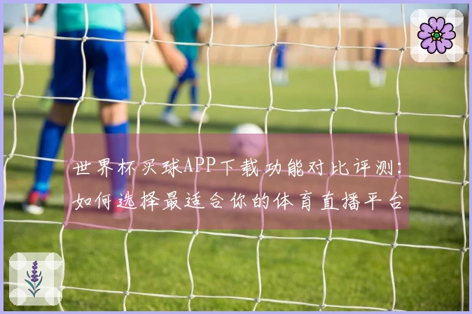 世界杯买球APP下载功能对比评测：如何选择最适合你的体育直播平台