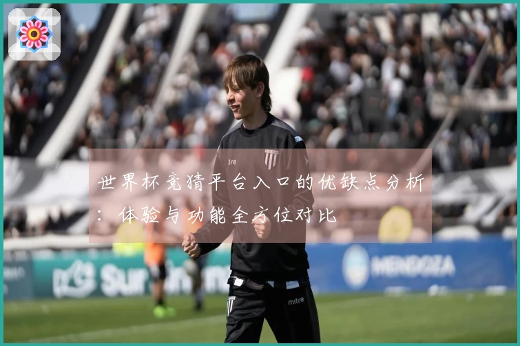 世界杯竞猜平台入口的优缺点分析：体验与功能全方位对比