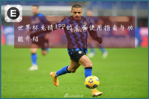 世界杯竞猜APP的全面使用指南与功能介绍