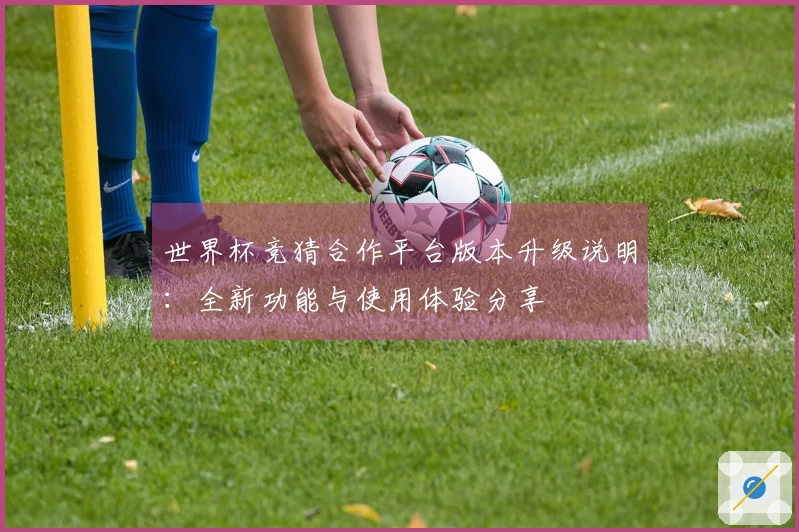 世界杯竞猜合作平台版本升级说明：全新功能与使用体验分享