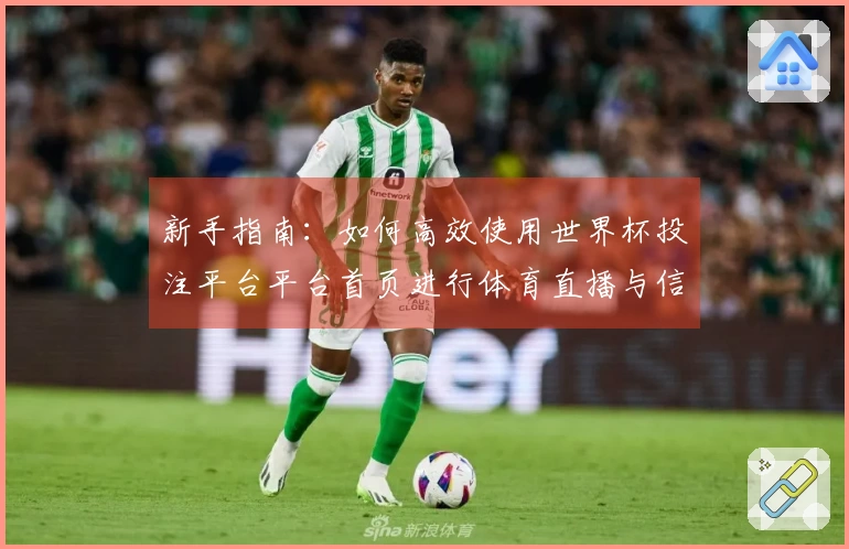 新手指南：如何高效使用世界杯投注平台平台首页进行体育直播与信息获取