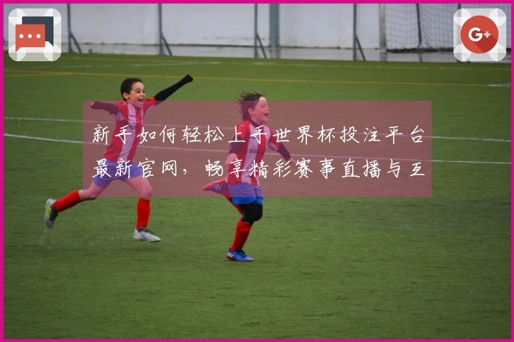 新手如何轻松上手世界杯投注平台最新官网，畅享精彩赛事直播与互动体验
